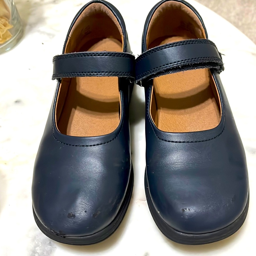 Navy Blue Mary Jane Shoes